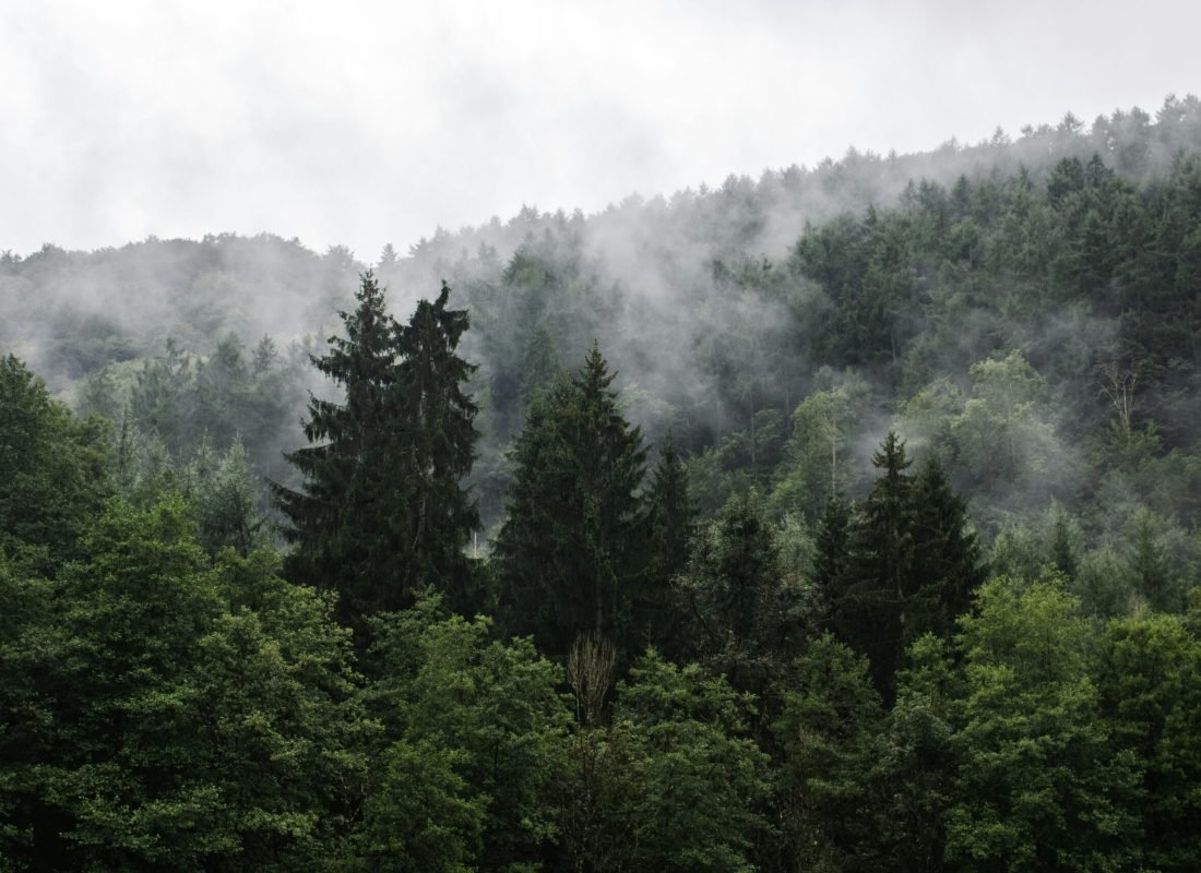 Camperreis Ardennen dag 3